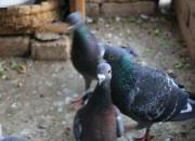 ��һ�������5�� �����ӱ���