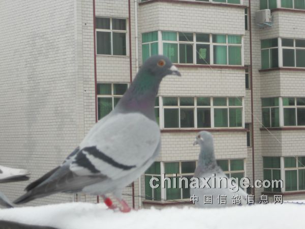 ǳ̸�׸����ָ�Ŀ���