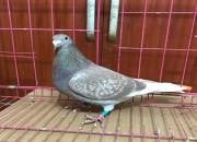 �ٿƳ�֪ʶ��Ҫ��Ӯ�ھ� �μ���Щ����