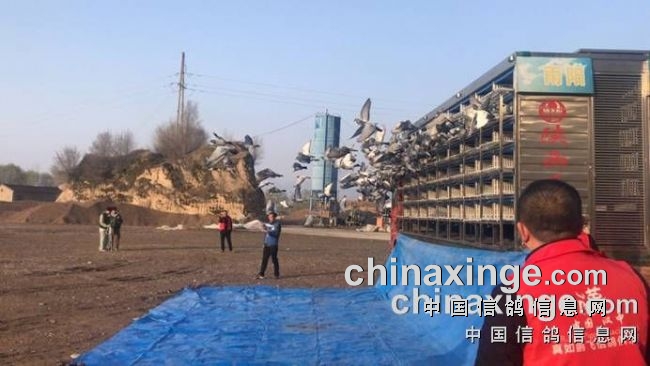 ���ط����������������ɳ�1600������ʤ�ڶ�����