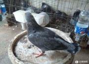 14���������¼һ�������ʡ��������