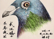 �人�ĸ��Ӳ�������