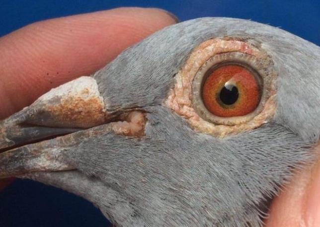 ͬ���ֵܳ�������� �̵㽭��ǧ�����ܹھ�