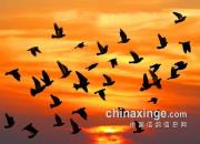 ���Ĳ�������֮Ԣ��ͼ��