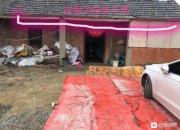 14���������¼��������ϻ��İ������