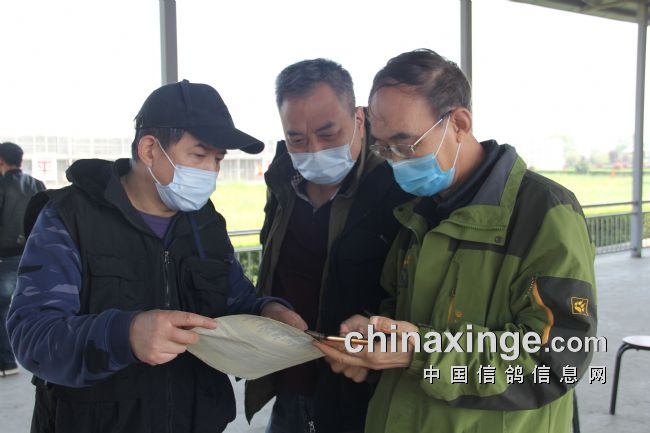 ���ܴ���������������һǹ����������Ŷ�ڣ�ͼ��