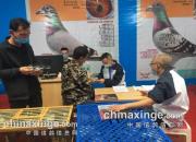 �Ĵ����ˡ��й��ǡ���һ�ؾ���Բ��������ͼ��