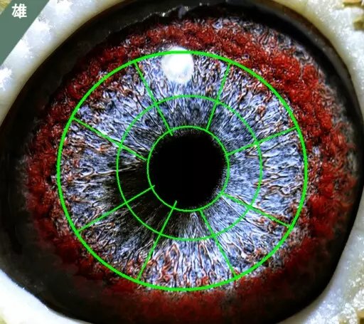 �����۵�ɰ�͡�����ͬ����������״ɰ������