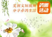 ����ÿһ�������������Ȧ�����