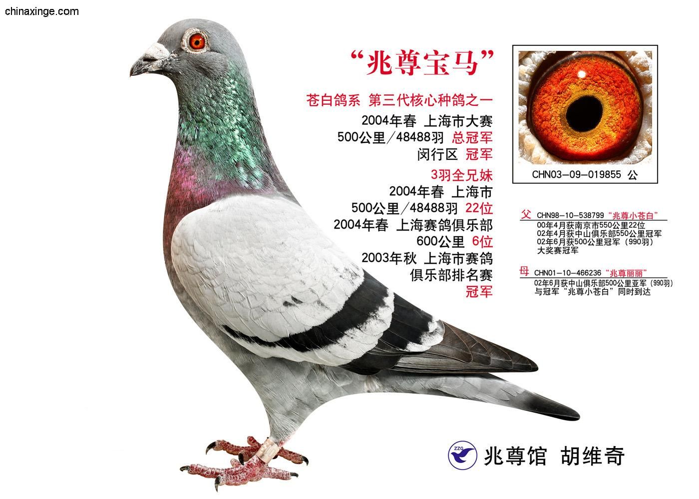 �̵��Ϻ�ȫ���������������ܹھ�����������