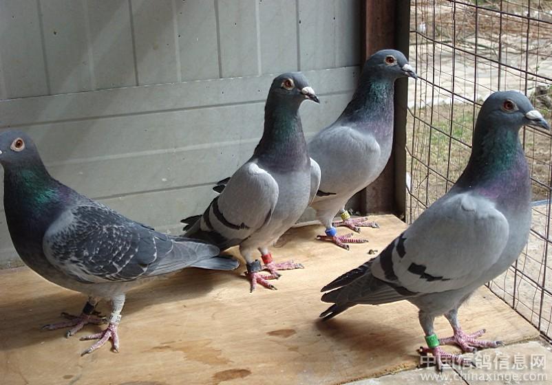 ̸̸�������Ÿ������Ӱ��