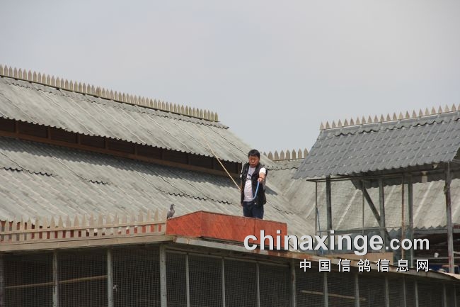 �����ؾ�ɱ����������һ�ٶ���ս��ͦ������