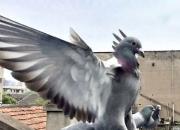 ͼƬ��¼����Ȥ��100����ѵ��