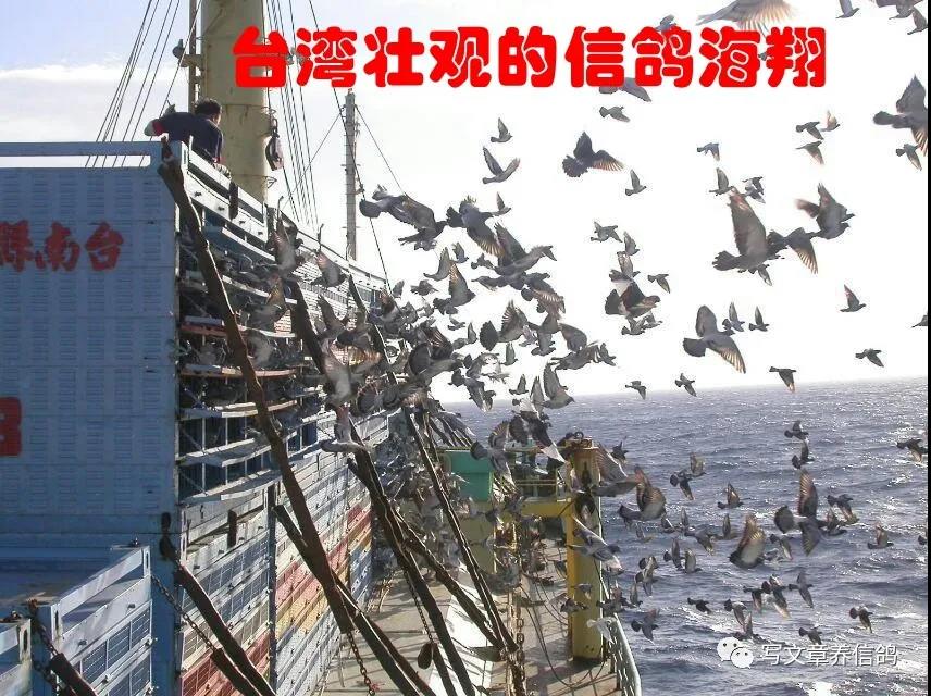 ����ķ��ݣ��Ÿ�ġ������ۡ����£�