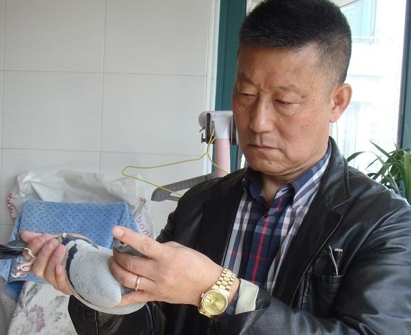 �泯�Ϻ� ��ů�������Ϻ���ǿ����������Τ��ǿ