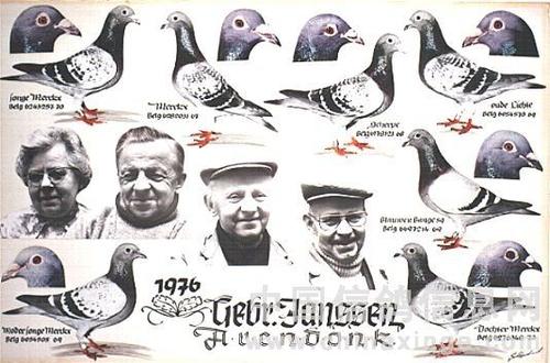 ���ֲ���ղ ��ѵ��ϸ��