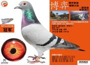 �����鳲���߳� ���ϲ���Ҫ���ǿ��