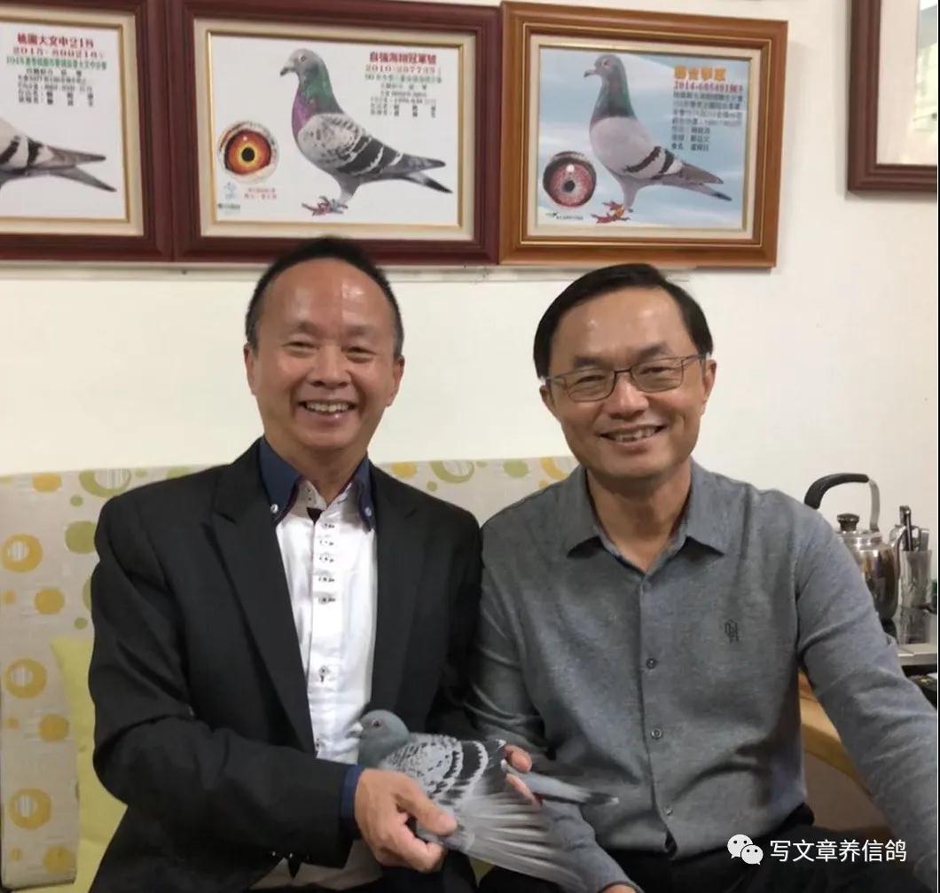 ����ķ��ݣ��Ÿ�ġ�Ѫͳ�ۡ�