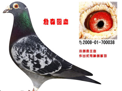 ��ΰ�ˣ�Ȥ̸��ղɭ����˭��ǿ��