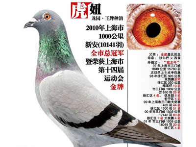 ÿ��һ�룺�Ϻ�ǧ�����ܹھ�����椡�