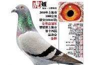 ÿ��һ�룺�Ϻ�ǧ�����ܹھ�����椡�