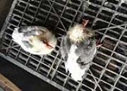 14��������䣺��ʹ���̰־���