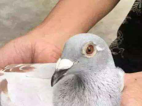 ��������������ҩ������