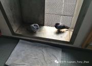 ��Ա���Ÿ룺ͬ�Ǻ��������