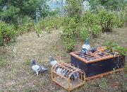 ��������ѵ�� �����ع�Ĵ�