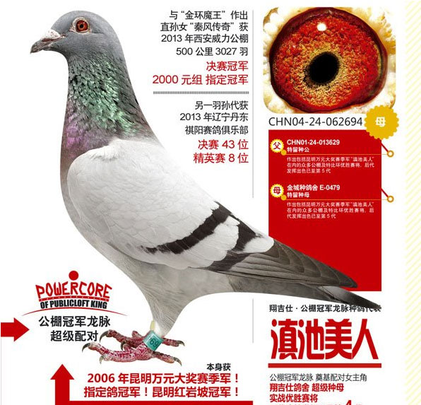 ÿ��һ�룺�������Ӣ�ġ�������ˡ�(ͼ)