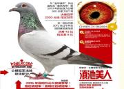 ÿ��һ�룺�������Ӣ�ġ�������ˡ�(ͼ)