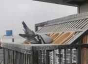 �������ϲ�����ӵ�����