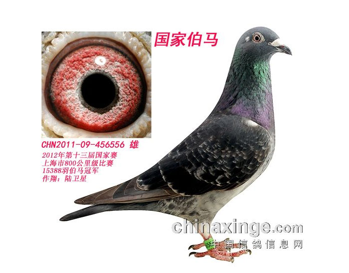 �̵��Ϻ�800��������� �����ù�һ�����Ǿ�