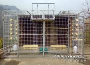 ͼ�⾭�䣺�Ŀ��������Ĳˣ�