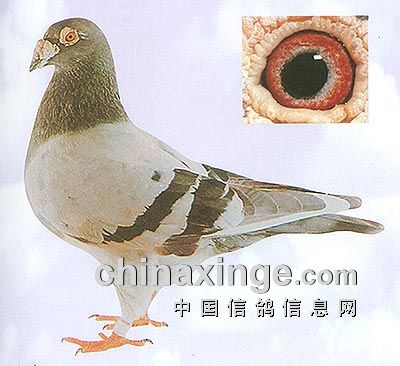 ÿ��һ�룺���θ����ھ��������š�