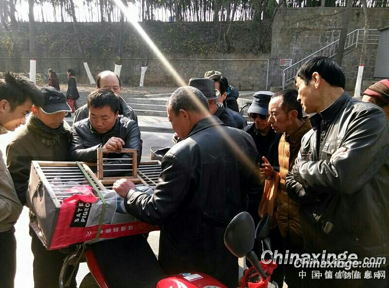 ���Ц���������