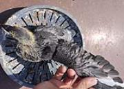 14��������䣺��������