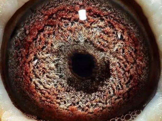 ��ΰ�ˣ���̸ղɭ��ġ����߿ۡ�