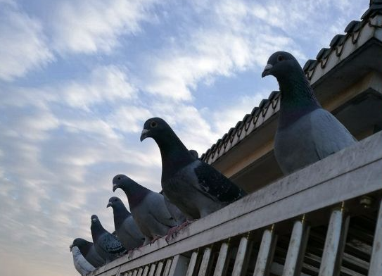 ���ۣ������������������