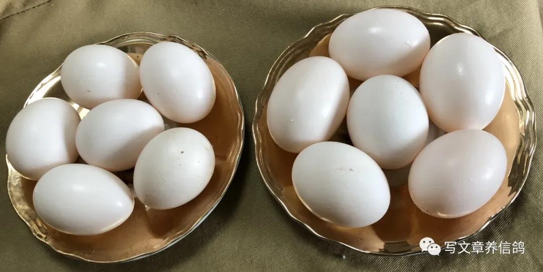 ����ķ��ݣ��뵰��ϡ�������