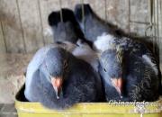 ����˲�䣺������2020��4�¾���ͼƬ 