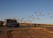 �����ѹ��� �ڴ����һЩС�ɼ�