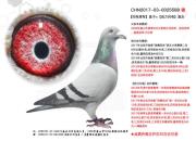 �����Ǳ�����ϵ ���������ھ�