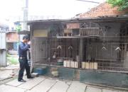 �����ϳµ��������