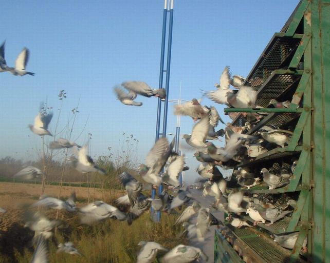 ����Ϊ�β��飿