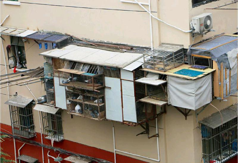 ��˳�����е�С�� ���ٰ�Ǩ���ţ����ܲ�����