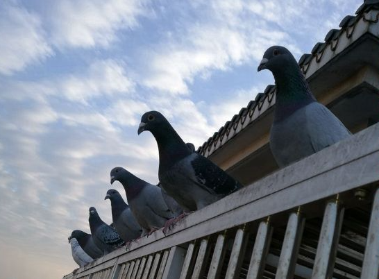 ����ӵ���·��������