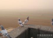 14�����������᣺��ȥ�ѿ�