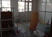 һ�������ƺ�