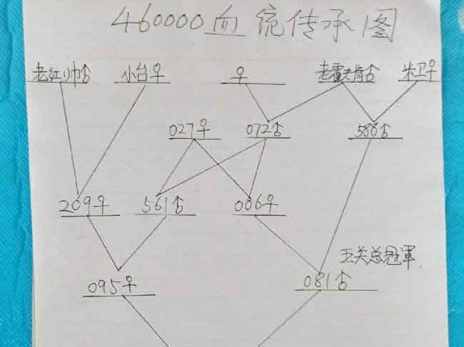 �������£��ķ�֮�����뷨��Ӧ�ã�